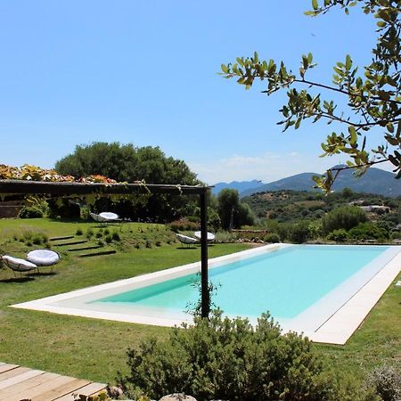 Albero Capovolto Bed and Breakfast Golfo Aranci Exteriör bild