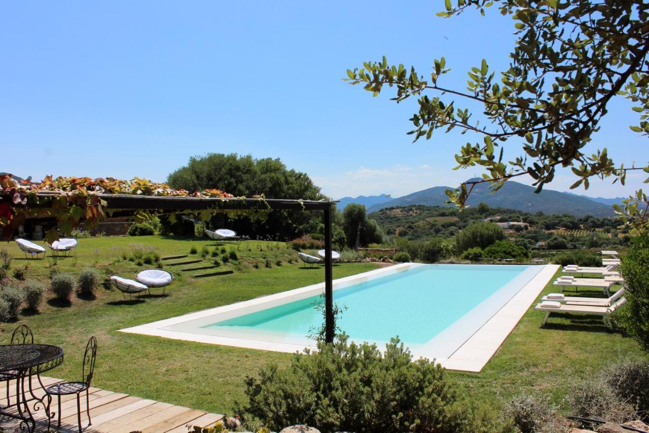 Albero Capovolto Bed and Breakfast Golfo Aranci Exteriör bild