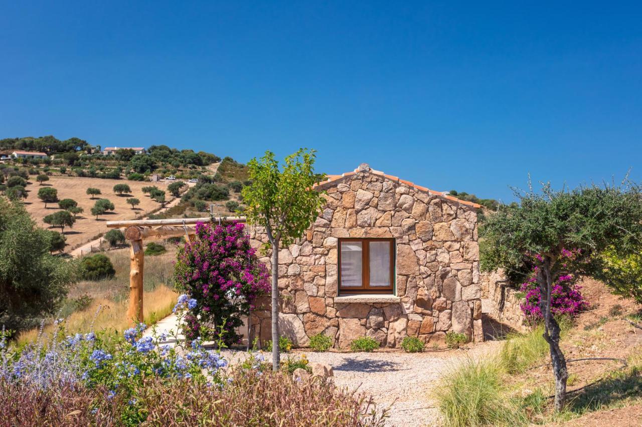 Albero Capovolto Bed and Breakfast Golfo Aranci Exteriör bild