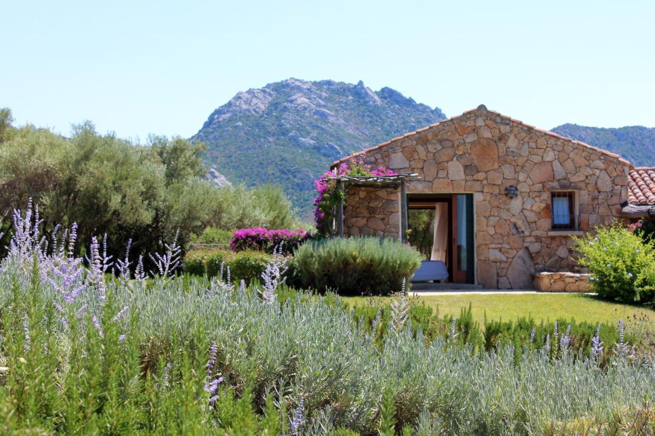 Albero Capovolto Bed and Breakfast Golfo Aranci Exteriör bild